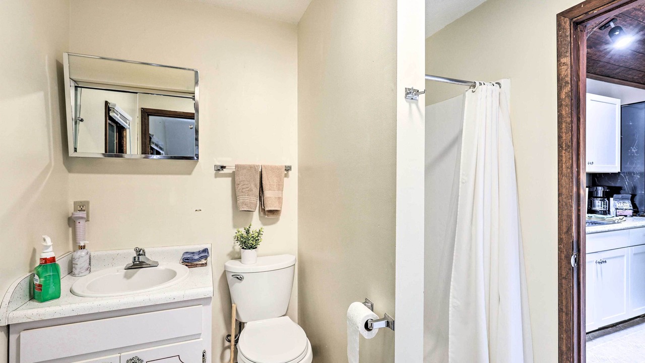 Photo of Bathroom in Roan Mountain