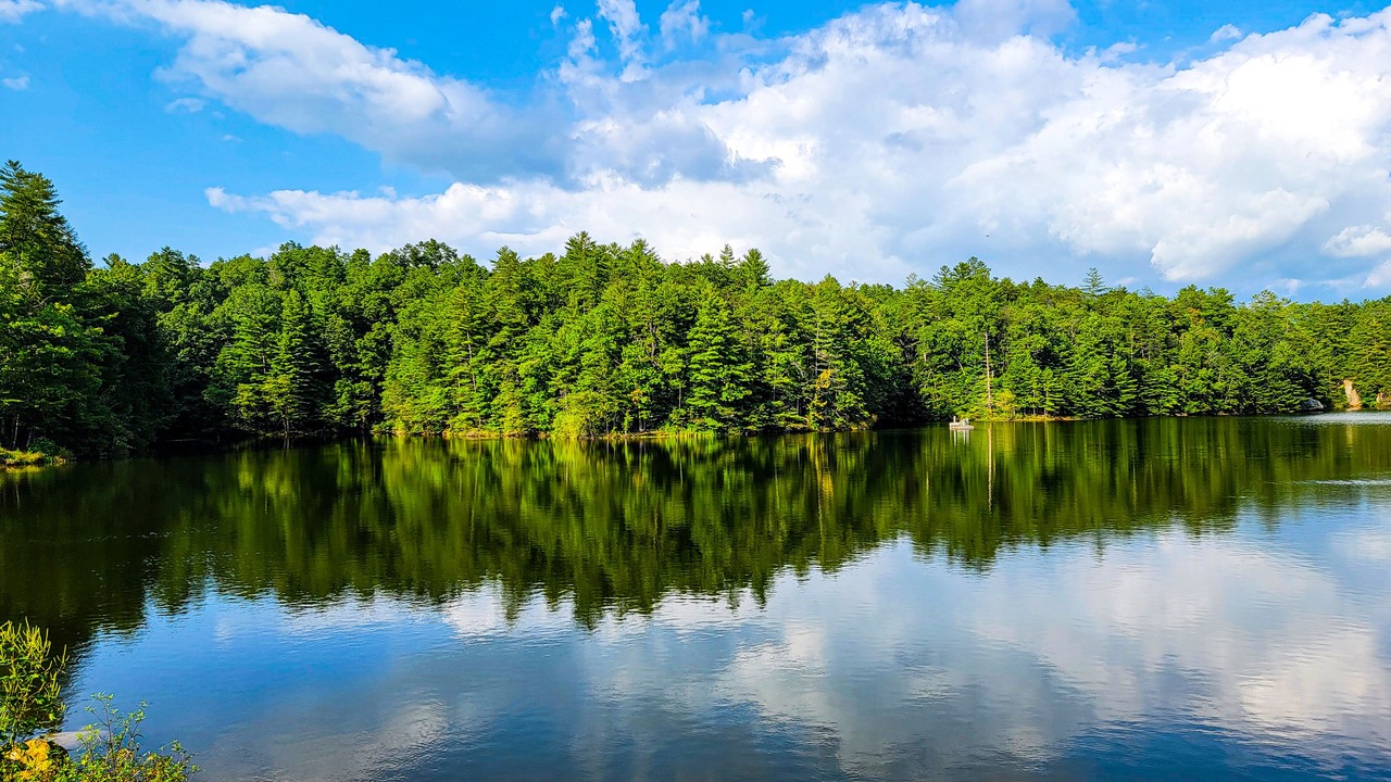 Photo of Outdoor in Campton