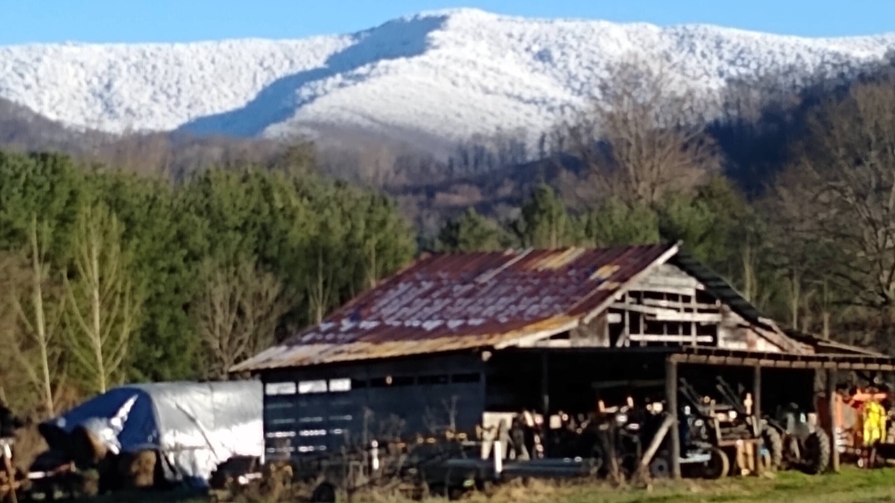Photo of Outdoor in Barnardsville