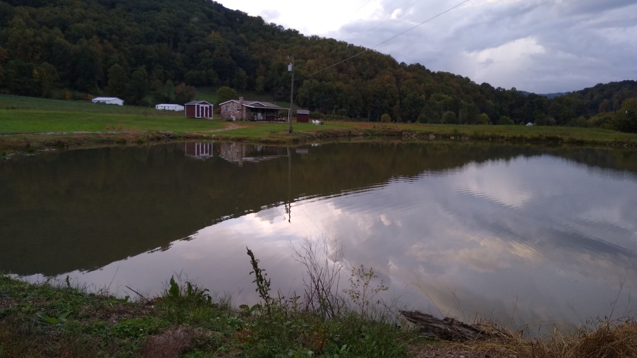 Photo of Others in Barnardsville