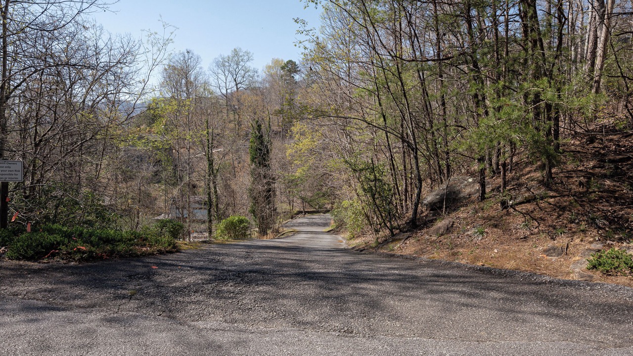 Photo of Others in Lake Lure