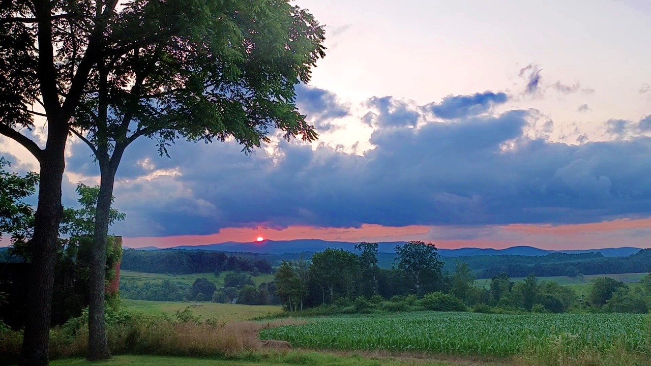 Photo of Outdoor in Sparta