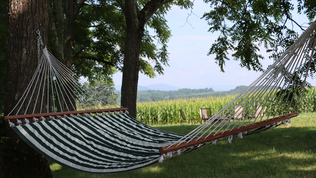 Photo of Outdoor in Sparta