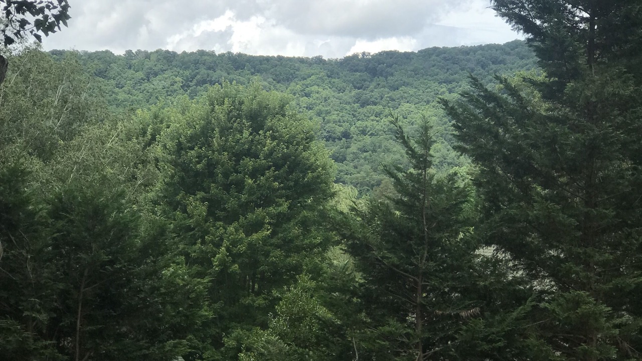 Photo of Outdoor in Asheville