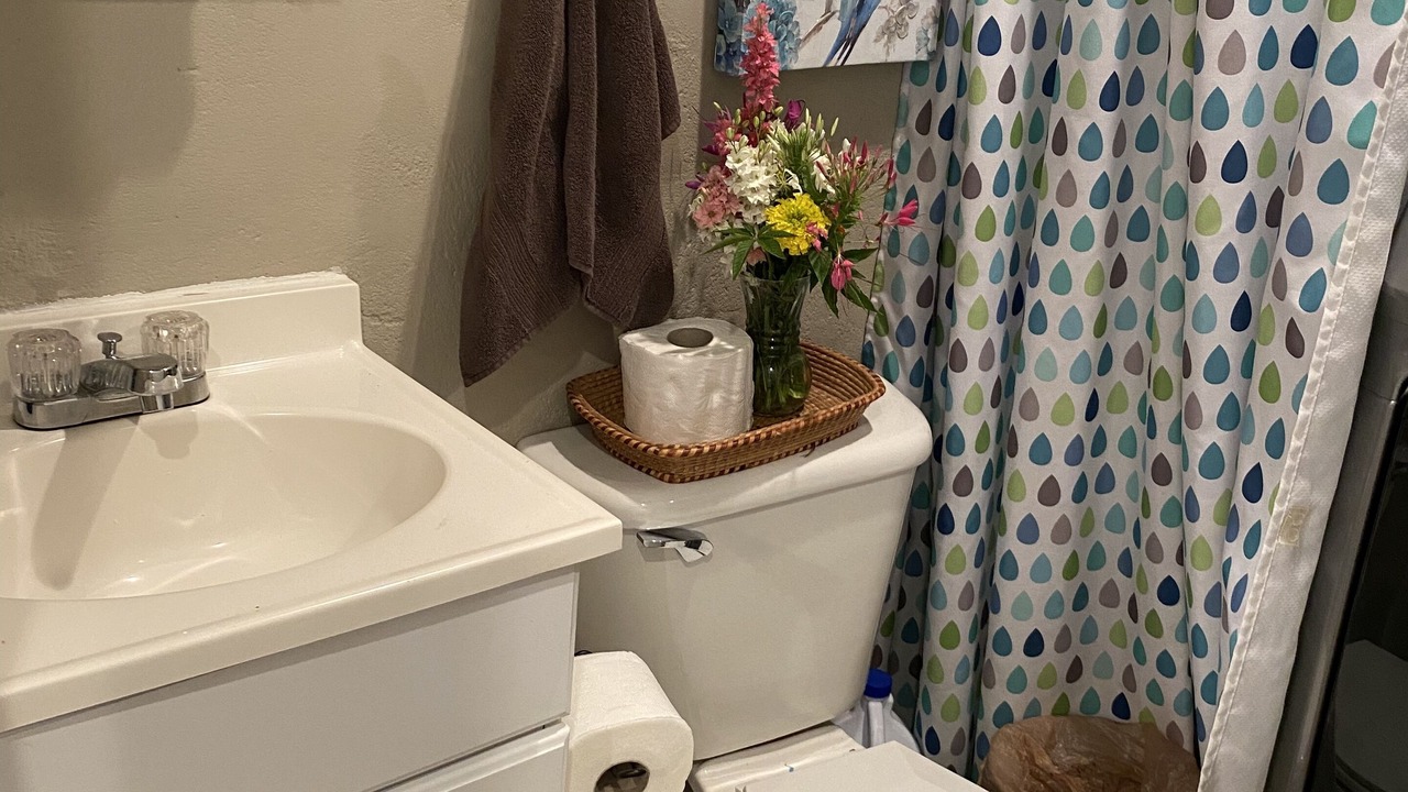 Photo of Bathroom in Garner Cove
