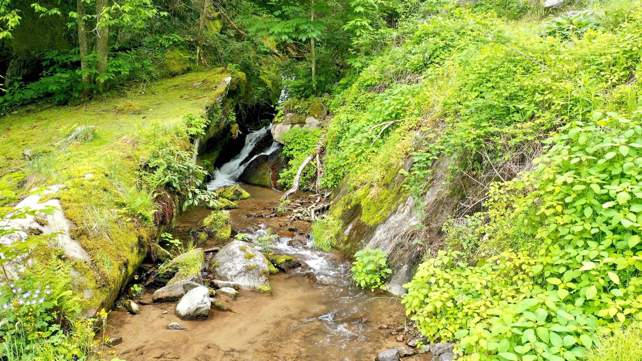 Photo of Others in Hot Springs