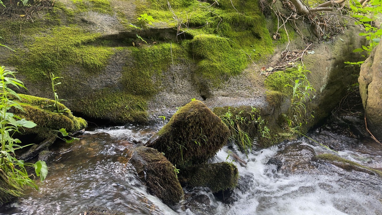 Photo of Outdoor in Hot Springs