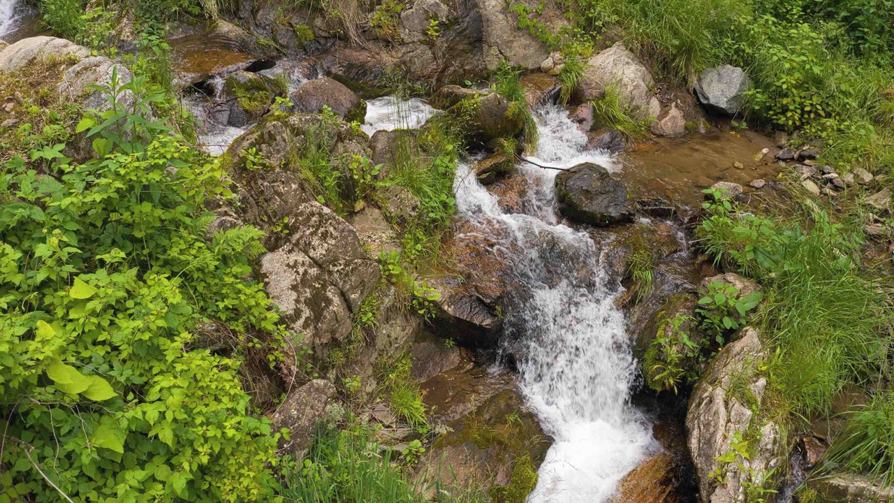 Photo of Others in Hot Springs