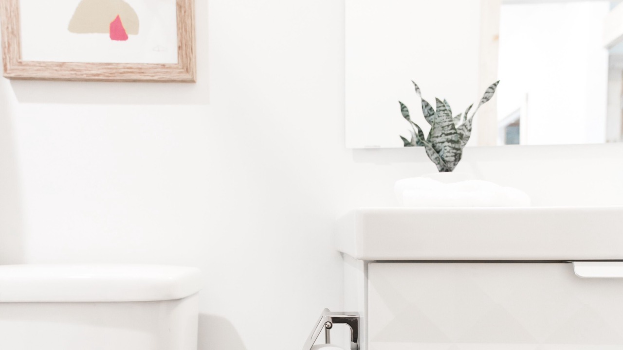 Photo of Bathroom in Johnson City