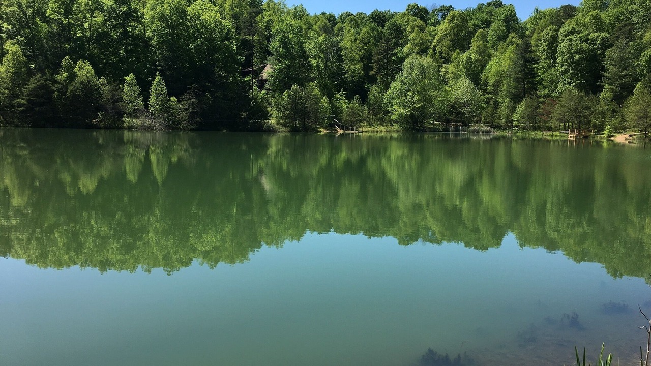 Photo of Outdoor in Rogers