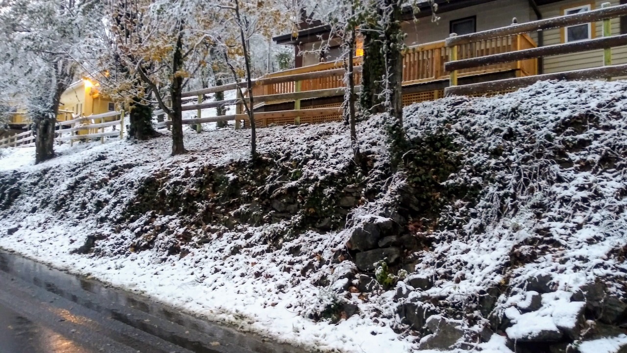 Photo of Outdoor in Corryton