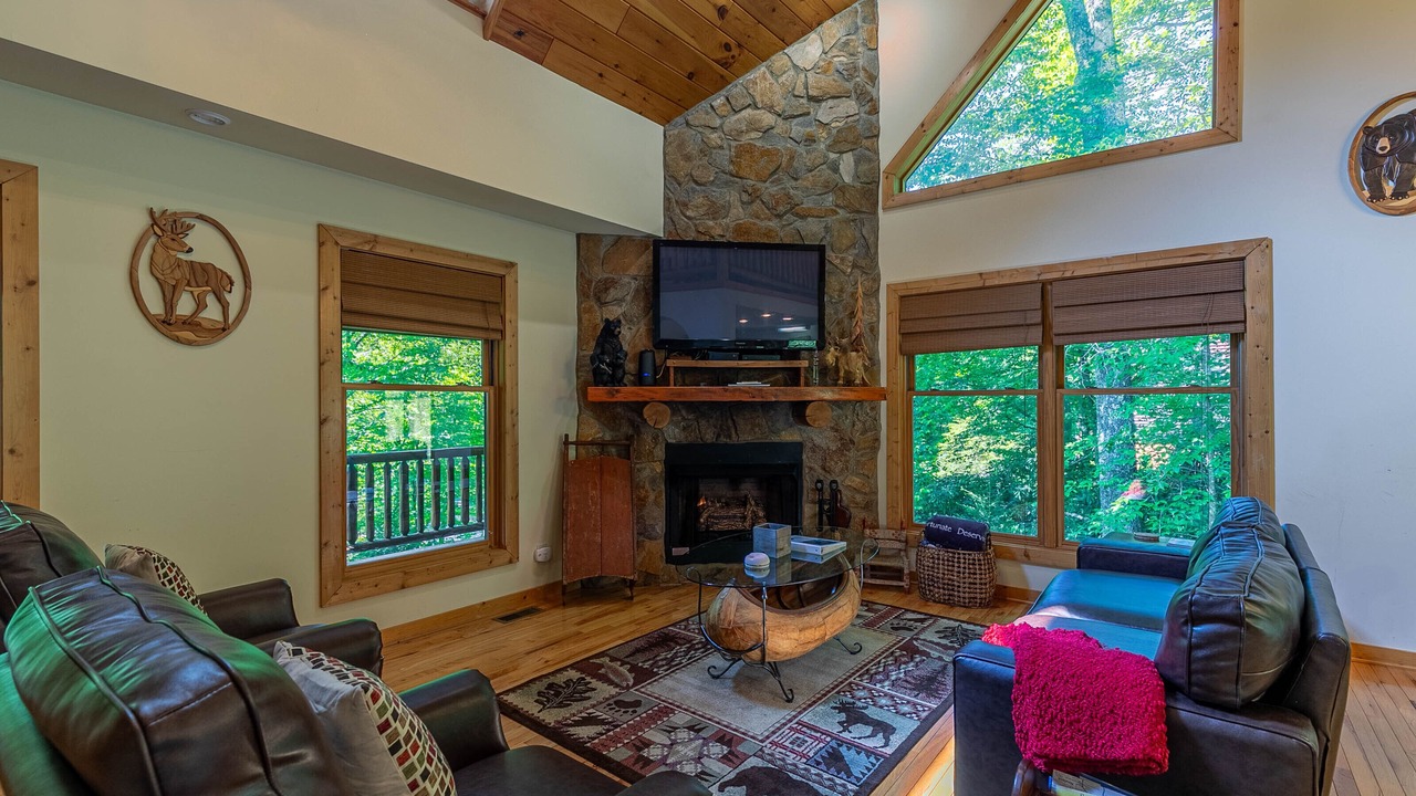 Photo of Livingroom in Banner Elk