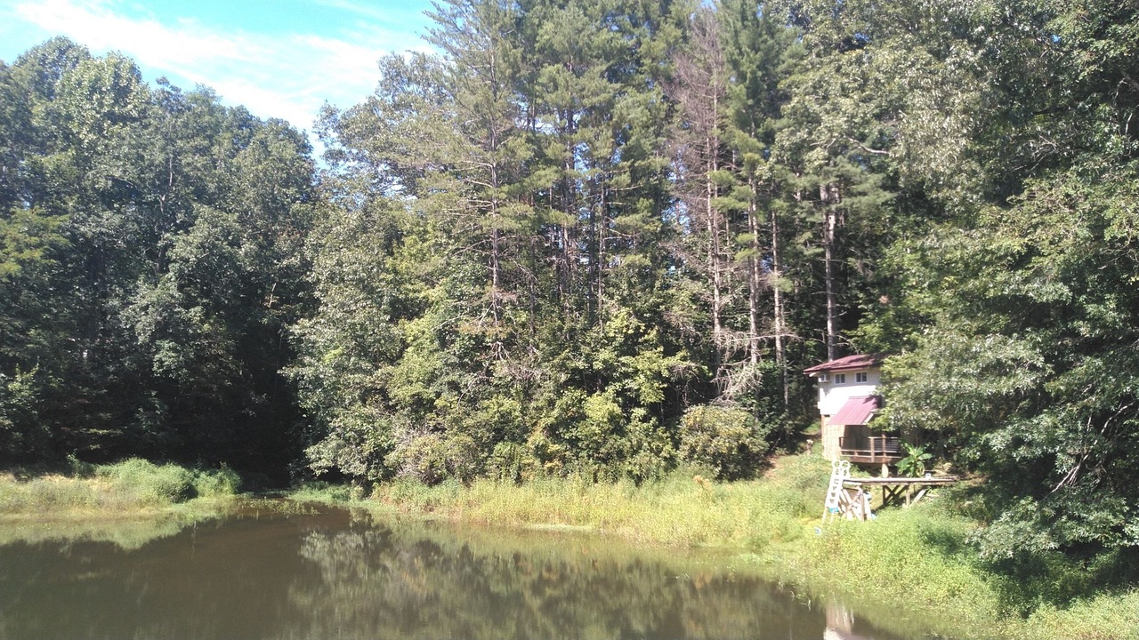 Photo of Others in Brevard