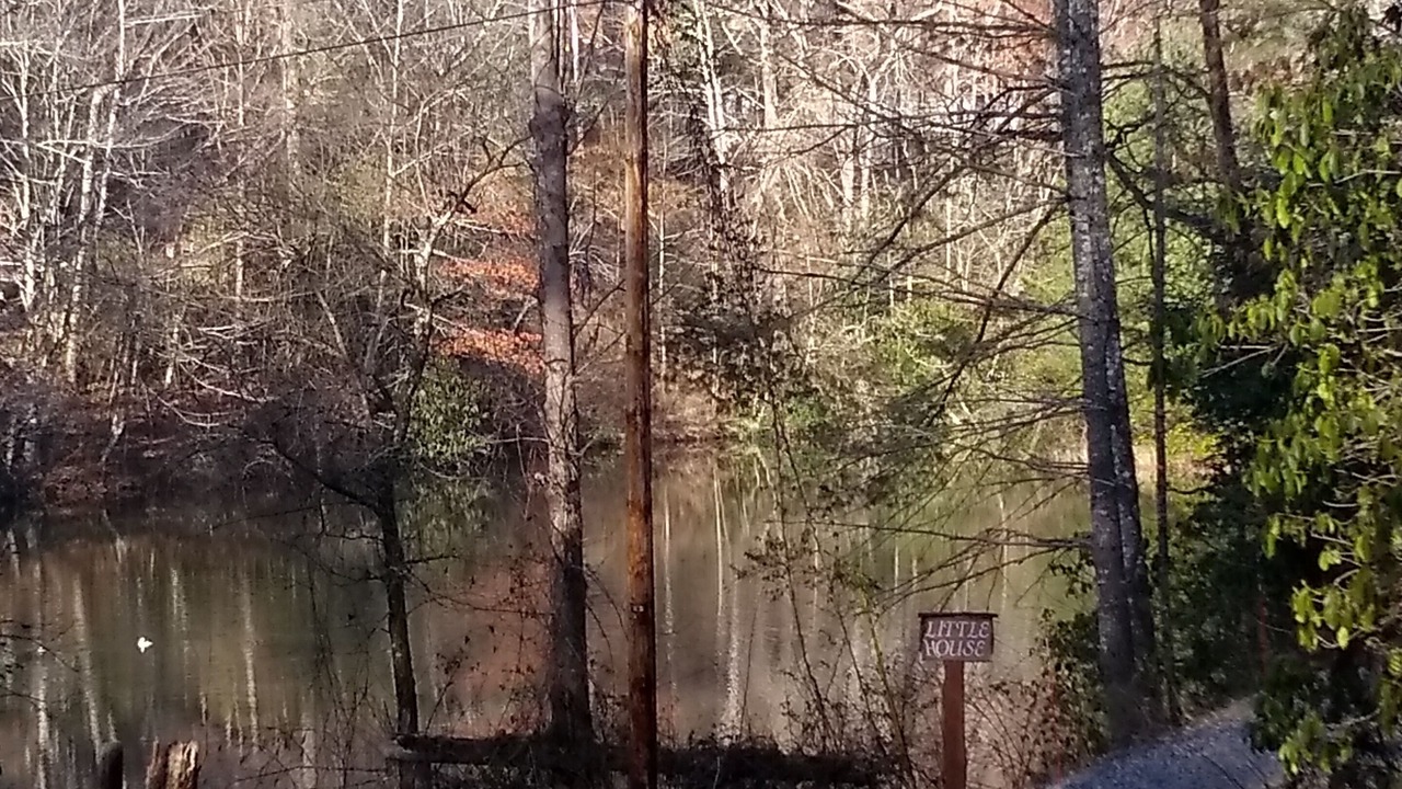 Photo of Others in Brevard