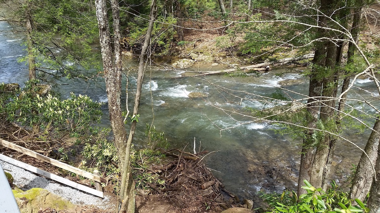 Photo of Outdoor in French Creek