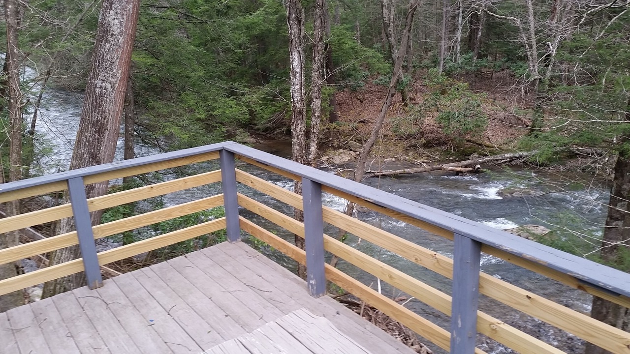 Photo of Outdoor in French Creek