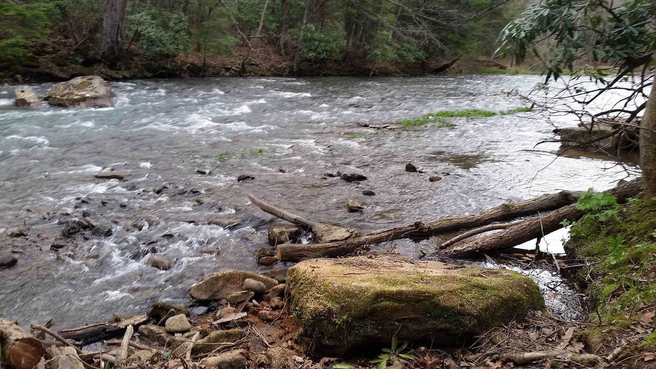 Photo of Outdoor in French Creek