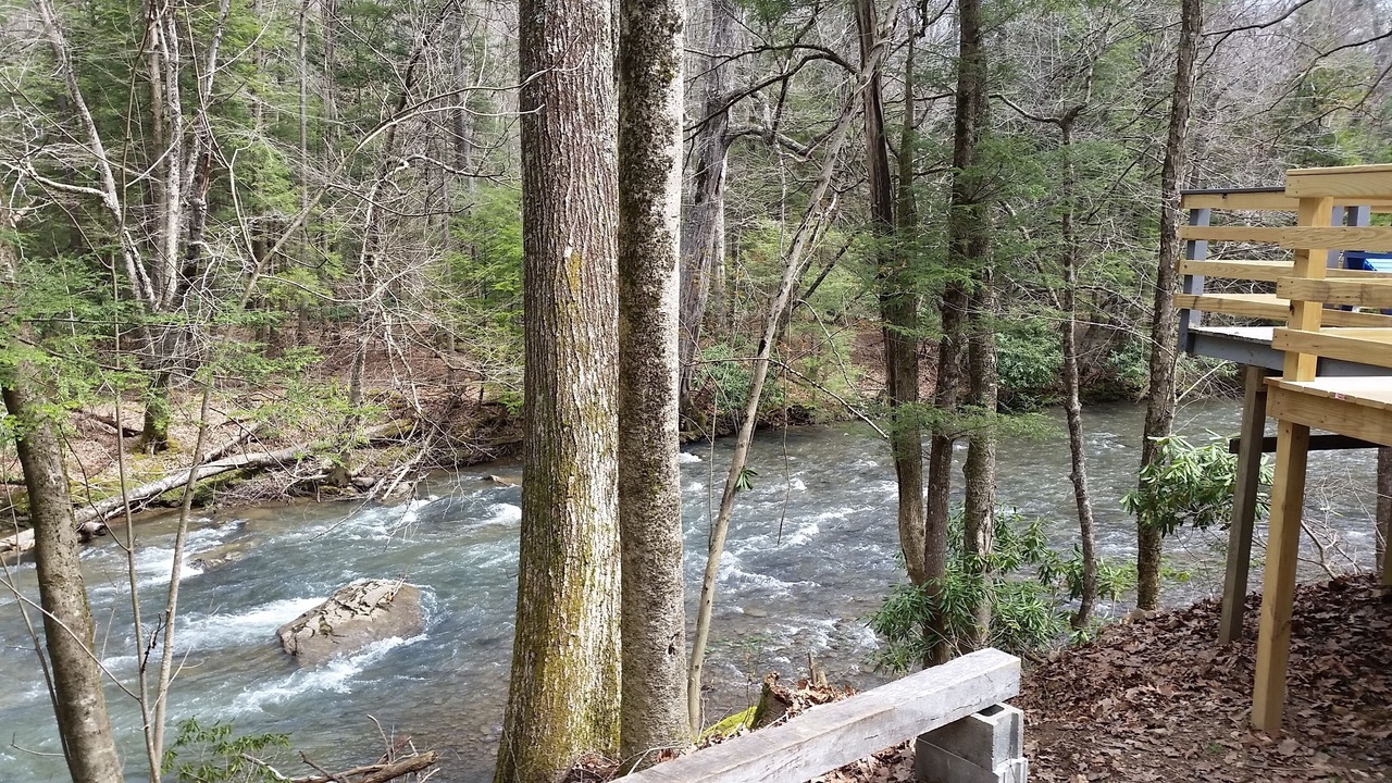 Photo of Outdoor in French Creek