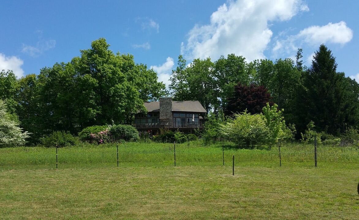 Photo of Outdoor in Newland