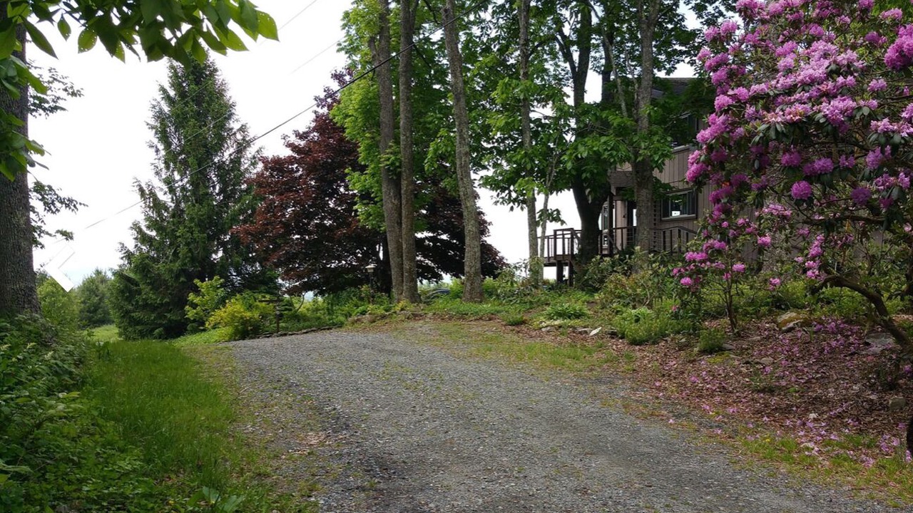 Photo of Outdoor in Newland