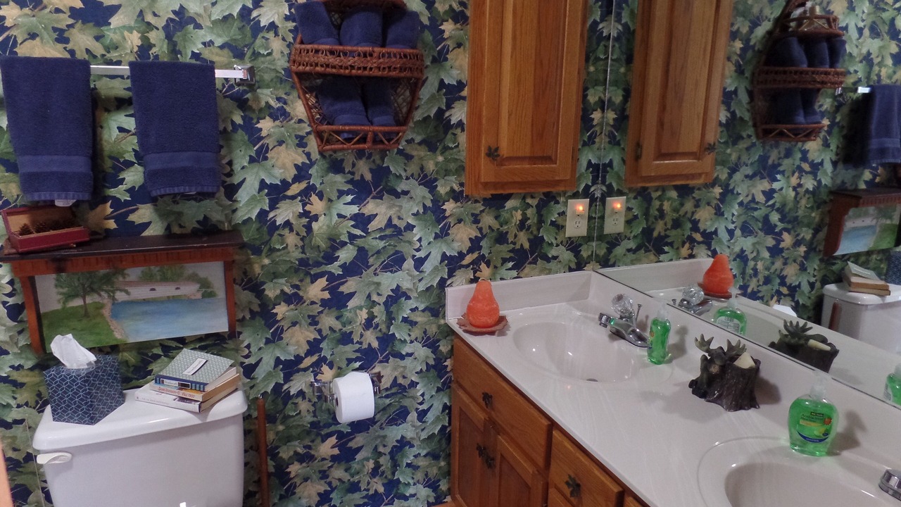 Photo of Bathroom in Roan Mountain