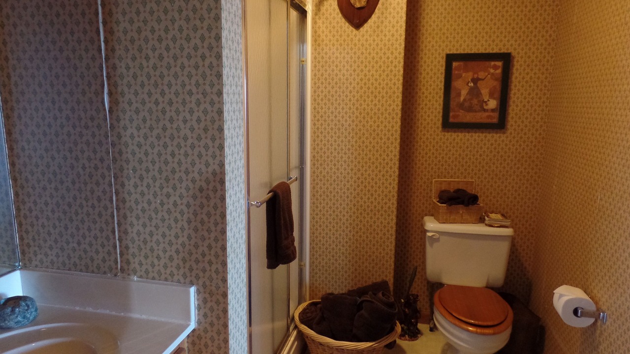 Photo of Bathroom in Roan Mountain