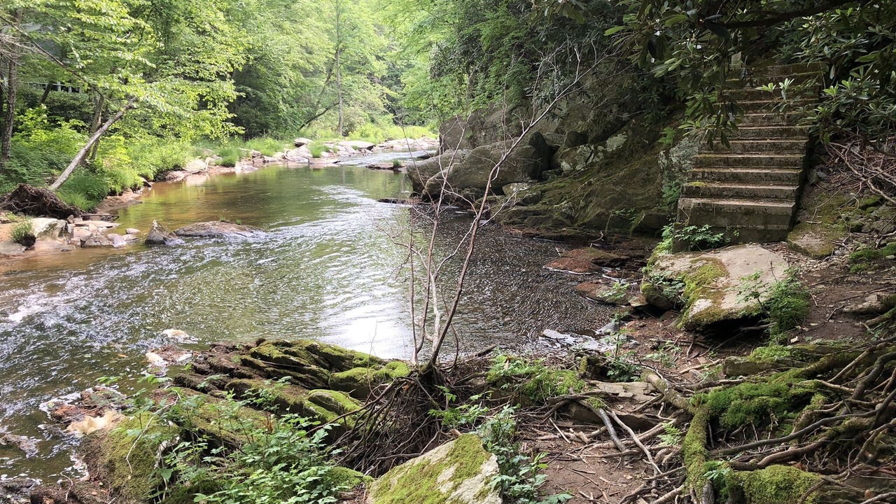 Photo of Outdoor in Newland