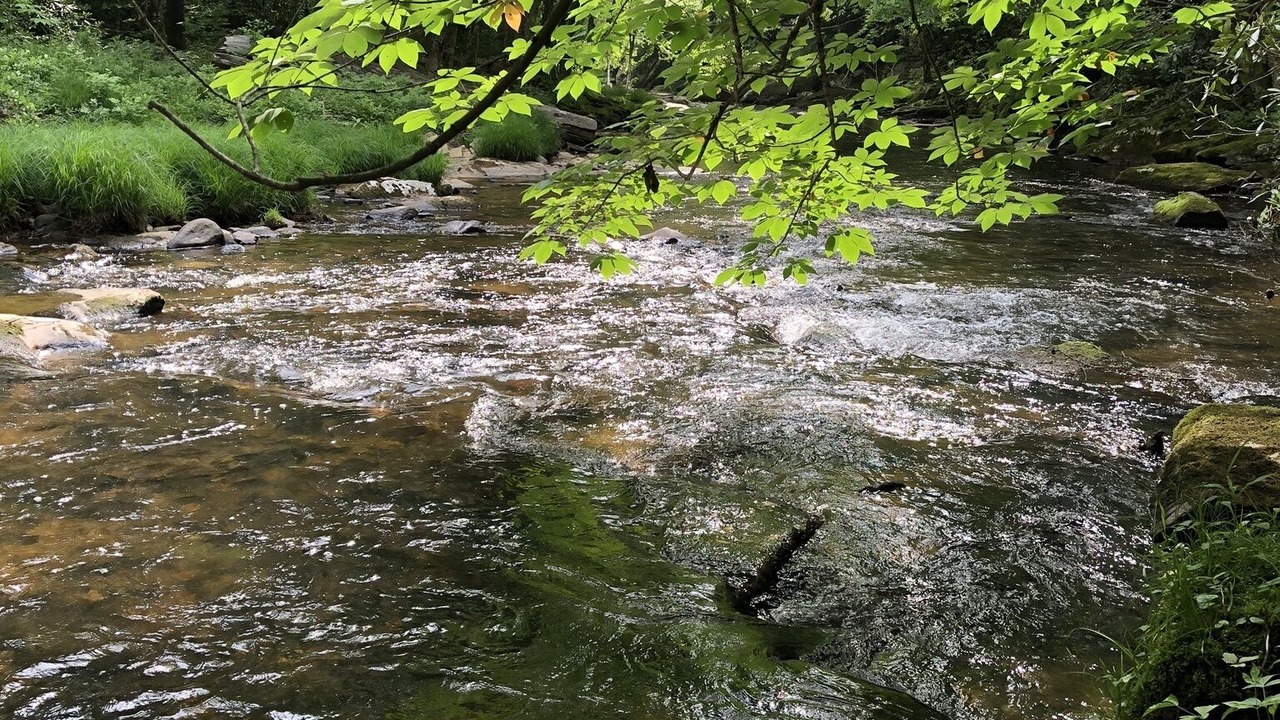 Photo of Outdoor in Newland