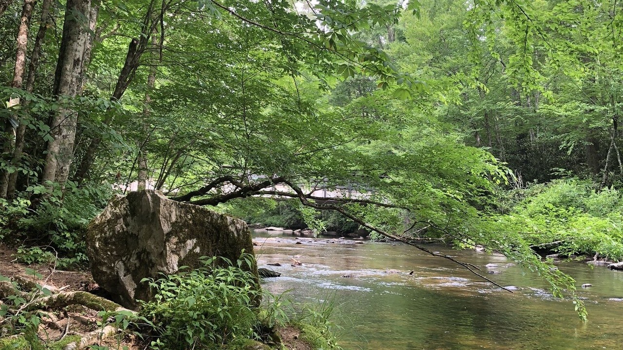 Photo of Outdoor in Newland