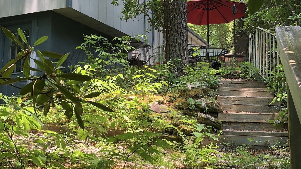 Photo of Outdoor in Newland