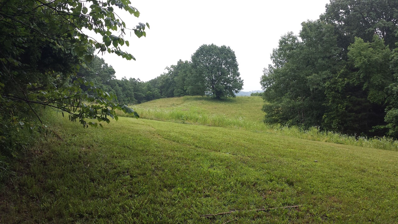 Photo of Others in Owenton