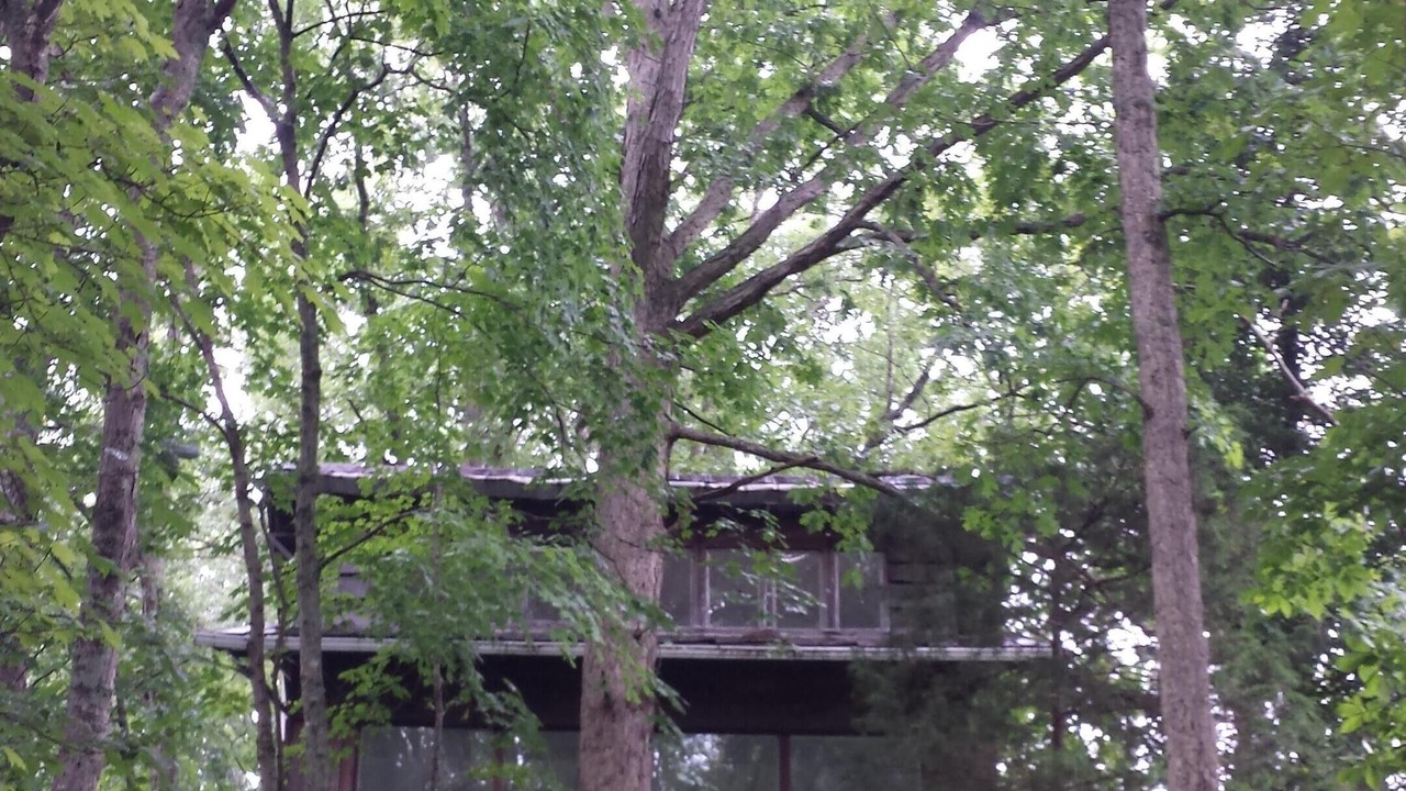 Photo of Outdoor in Owenton
