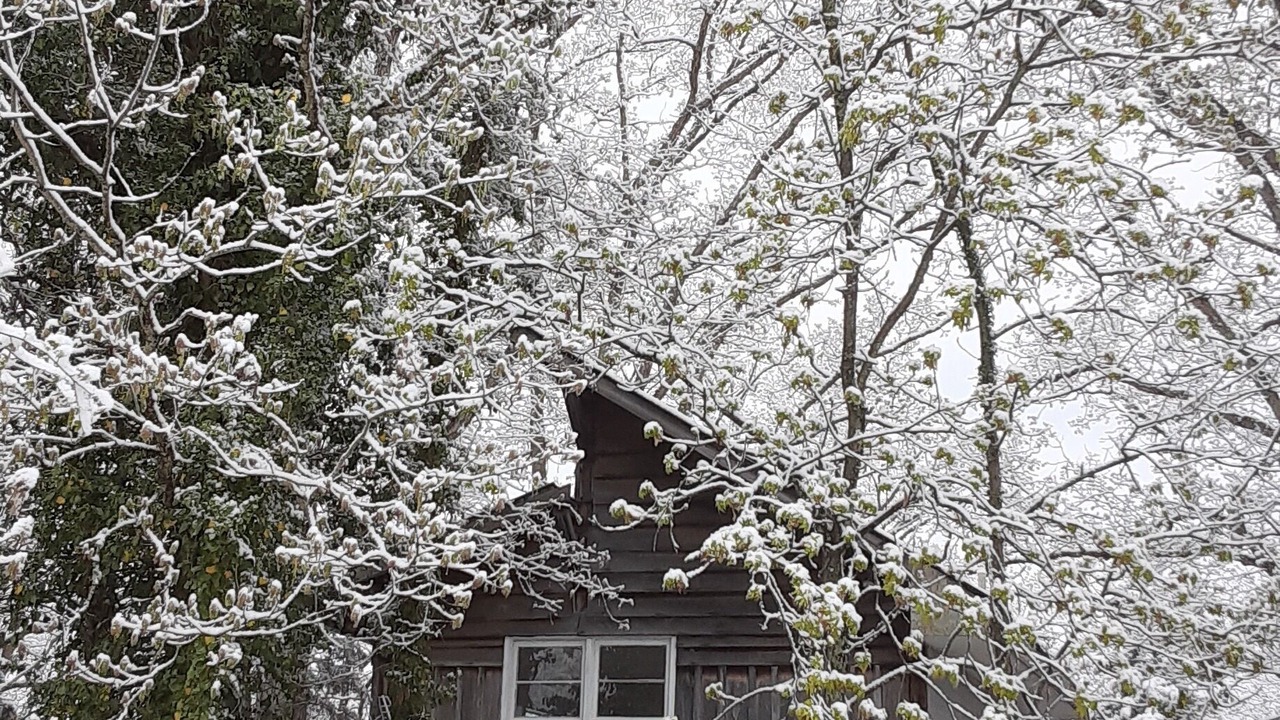 Photo of Outdoor in Owenton