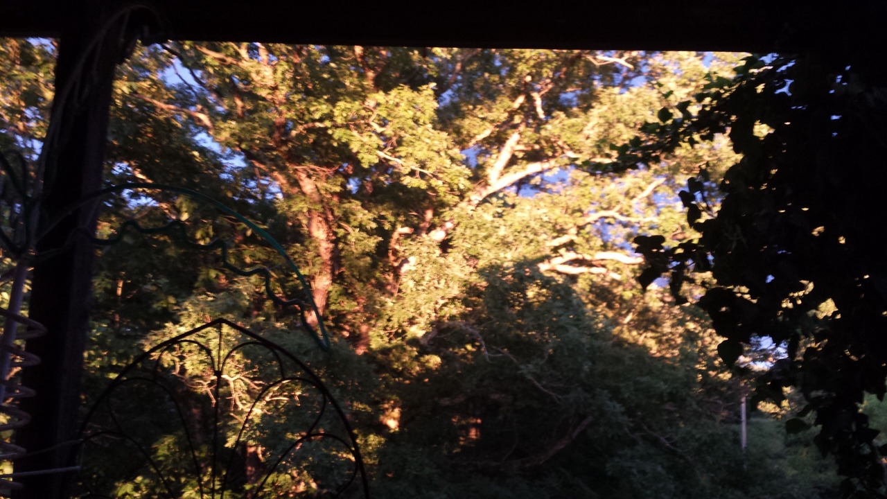 Photo of Outdoor in Owenton