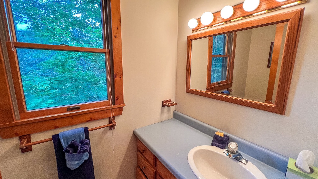 Photo of Bathroom in Lansing