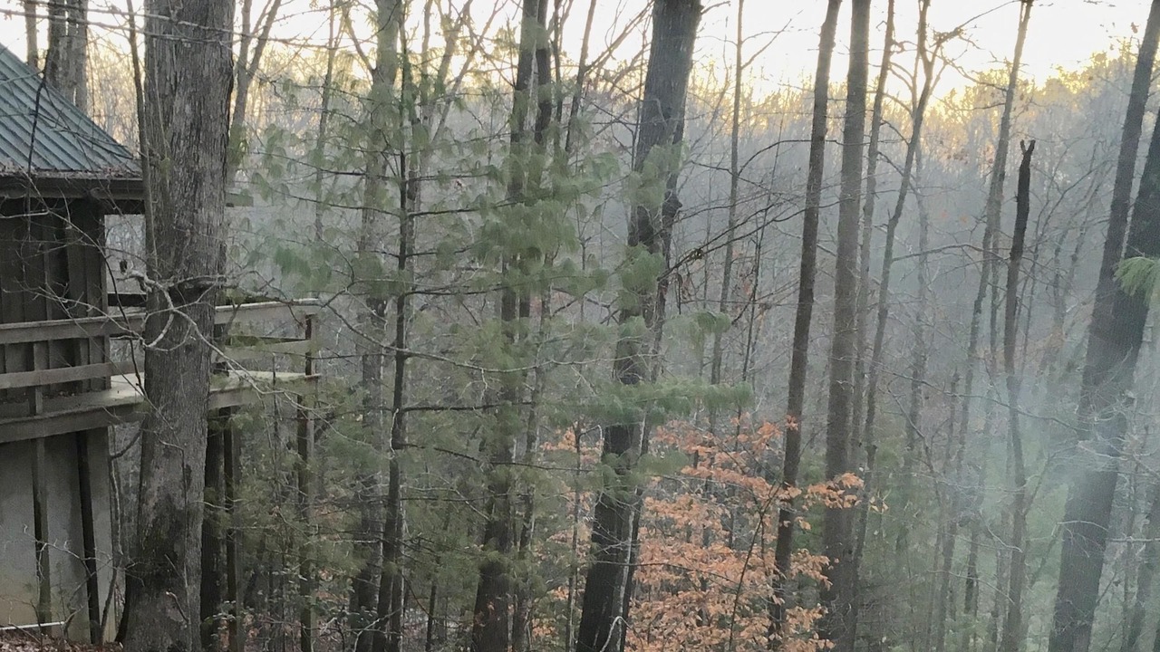 Photo of Outdoor in Zoe