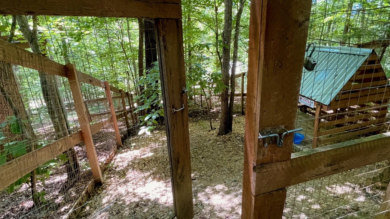 Photo of Outdoor in Zoe