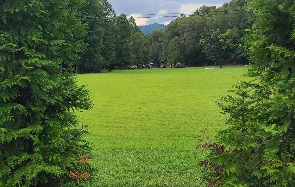 Photo of Others in Vein Mountain