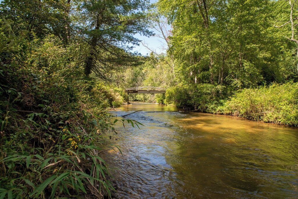 Photo of Others in Transylvania County