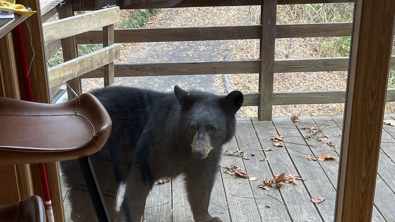 Photo of Others in Asheville