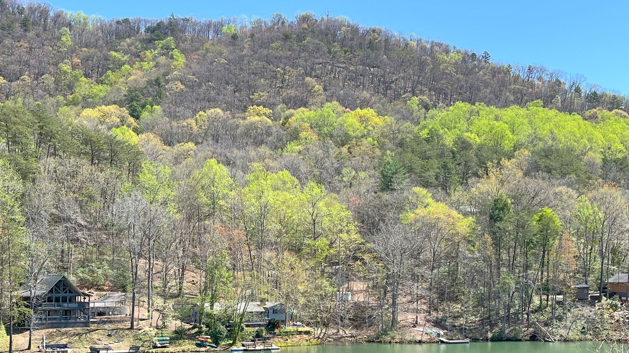 Photo of Outdoor in Lake Lure