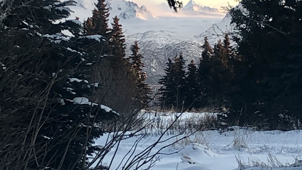 Photo of Others in Fritz Creek