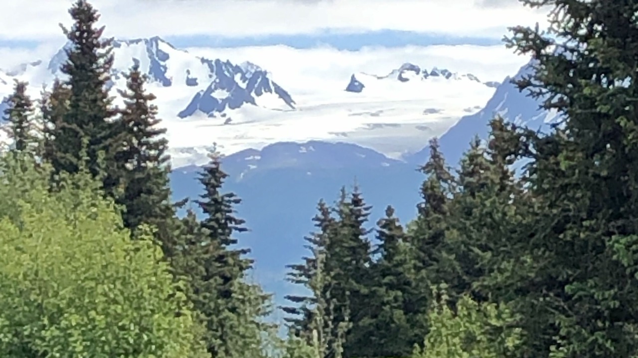 Photo of Others in Fritz Creek