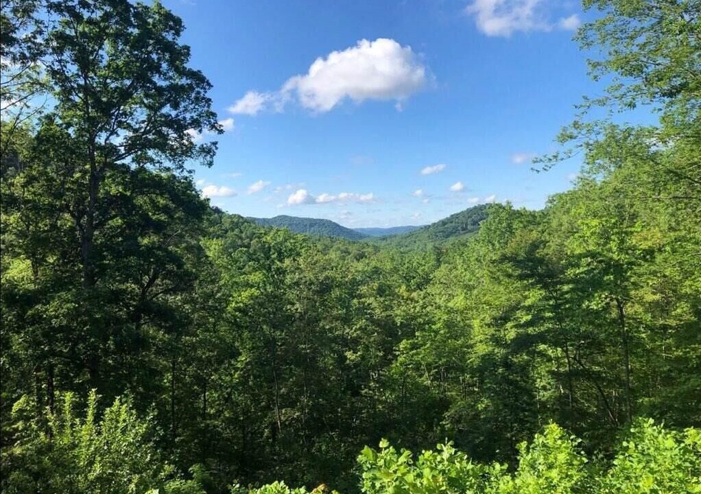 Photo of Outdoor in Means