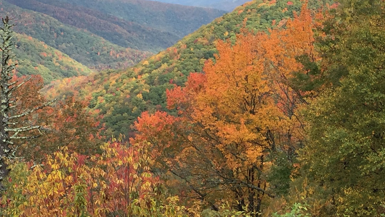 Photo of Outdoor in Newland