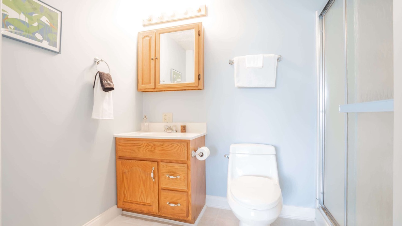 Photo of Bathroom in Jonesville