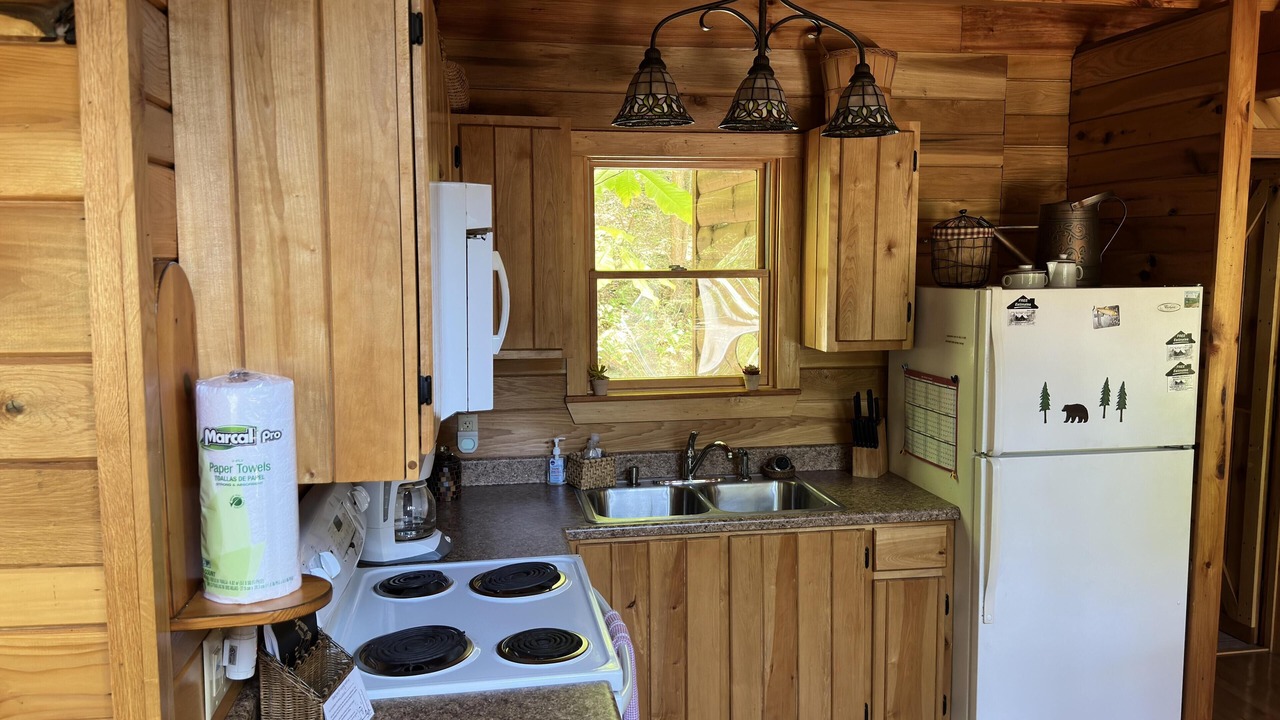 Photo of Kitchen in Rogers