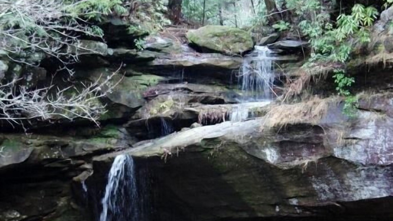 Photo of Outdoor in Rogers