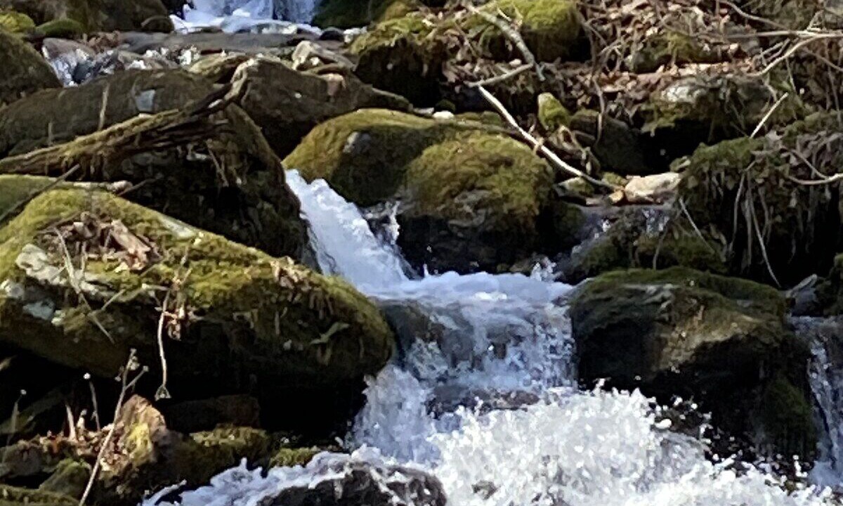 Photo of Others in Lake Junaluska
