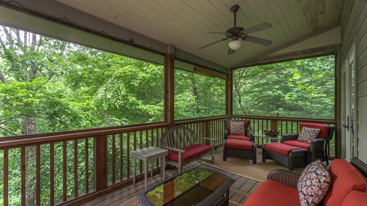 Photo of Outdoor in Black Mountain